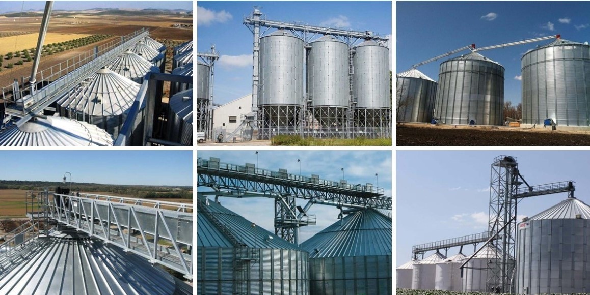 Transportador raspador de gr&atilde;os